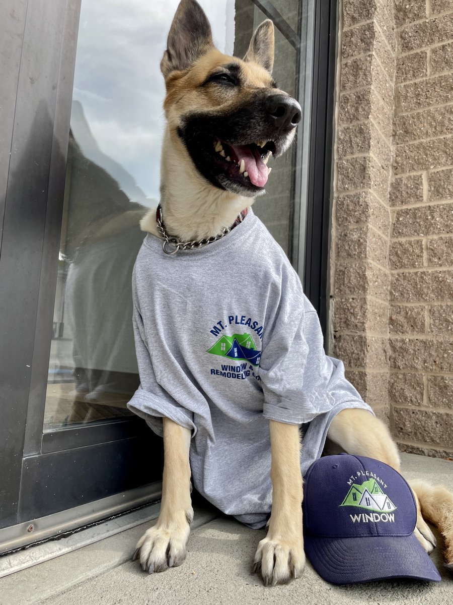 MPW_Remodeling's tweet photo. In Loving Memory of Happy, Our Chief Morale Officer 
Yesterday, we said goodbye to a friend, teammate, and the heart of our office. Happy crossed the rainbow bridge after years of bringing smiles to Mt. Pleasant Window &amp; Remodeling.
Rest easy, Happy. You were the very best girl. https://t.co/PRzvR8n1sl