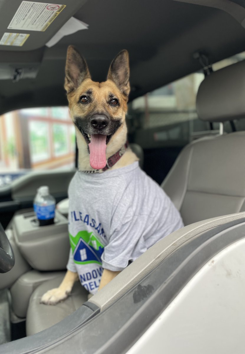 MPW_Remodeling's tweet photo. In Loving Memory of Happy, Our Chief Morale Officer 
Yesterday, we said goodbye to a friend, teammate, and the heart of our office. Happy crossed the rainbow bridge after years of bringing smiles to Mt. Pleasant Window &amp; Remodeling.
Rest easy, Happy. You were the very best girl. https://t.co/PRzvR8n1sl