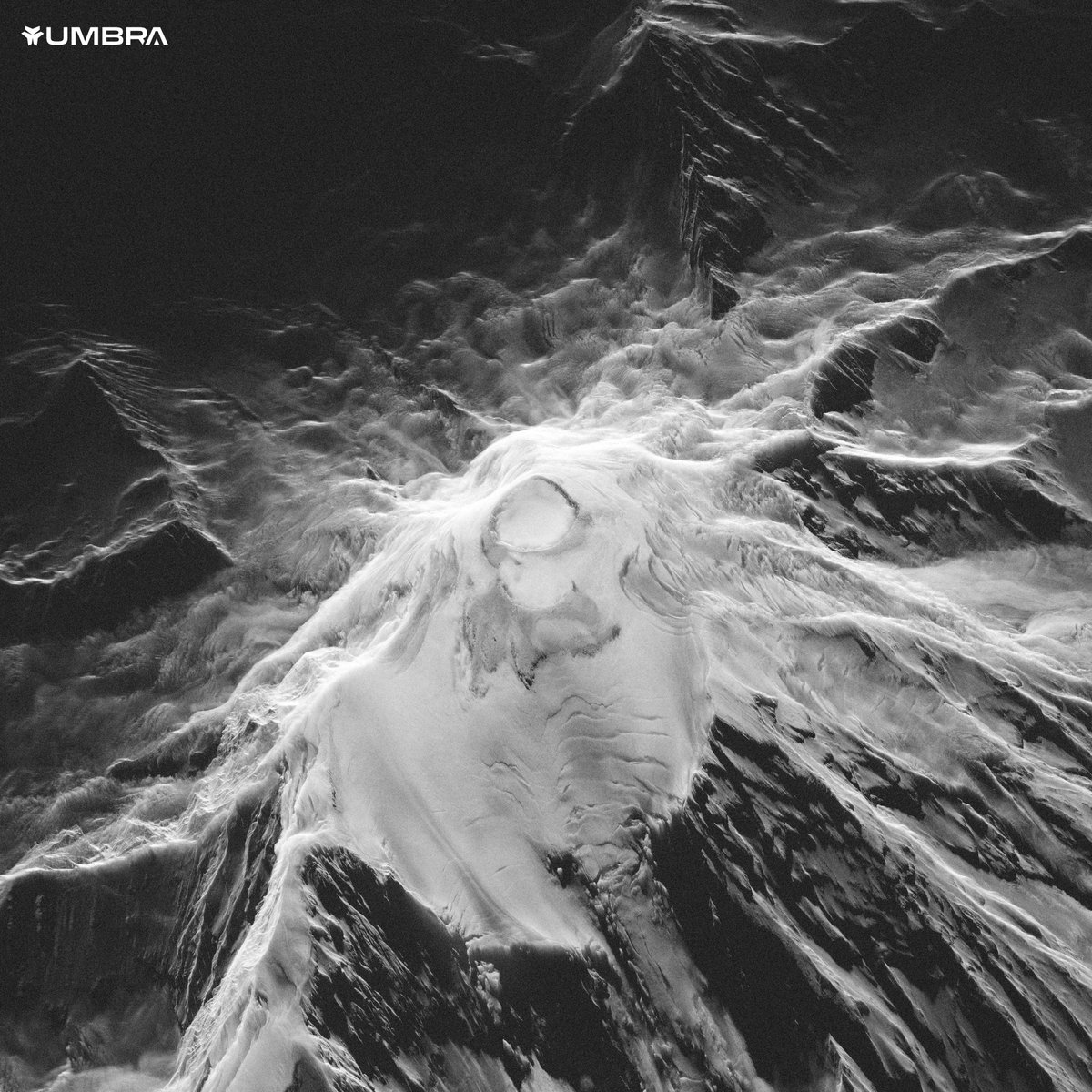 Todd Master tweet media