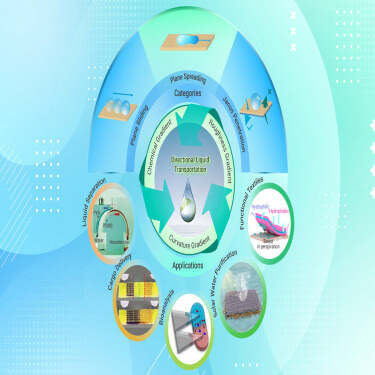 Designing of anisotropic gradient surfaces for directional liquid transport: Fundamentals, construction, and applications
hubs.li/Q03hBCQy0
<a href="/The_InnovationJ/">The Innovation: a Cell Press partner journal</a> collection highlight