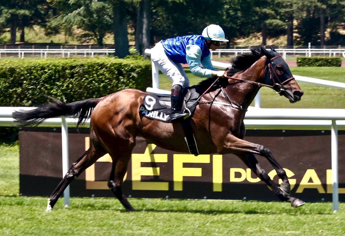 Wildenstein Breeding - FanPage (@bleuballymore) on Twitter photo 🍼 MIGHTY BLUE, by <a href="/Capital_Stud/">Capital Stud</a> AUTHORIZED from G1 placed MILLIONAIA, has had a filly by <a href="/AgaKhanStuds/">Aga Khan Studs</a> SIYOUNI on February 11, 2025
💙🩵 MIGHTY BLUE, Listed winner & G3 placed in flat and G2 placed in hurdles, is a sister of MODERN EAGLE the dam of PADDINGTON 🐻 🍼 MIGHTY BLUE, by <a href="/Capital_Stud/">Capital Stud</a> AUTHORIZED from G1 placed MILLIONAIA, has had a filly by <a href="/AgaKhanStuds/">Aga Khan Studs</a> SIYOUNI on February 11, 2025
💙🩵 MIGHTY BLUE, Listed winner & G3 placed in flat and G2 placed in hurdles, is a sister of MODERN EAGLE the dam of PADDINGTON 🐻