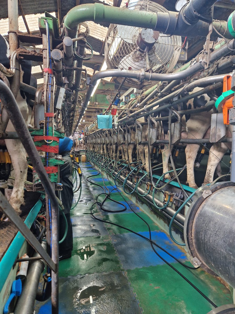 CARASEnglishPanel tweet media