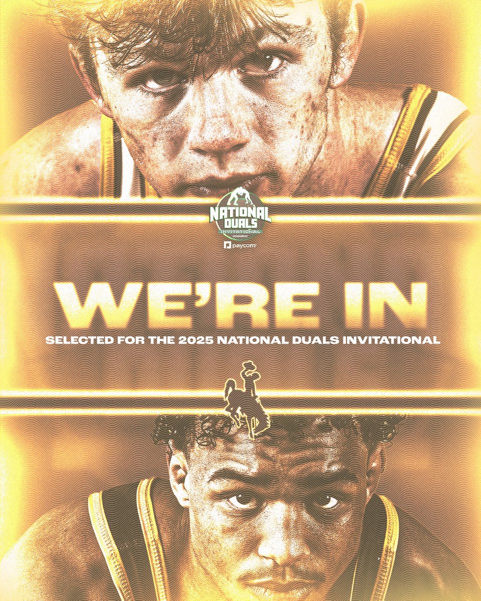 🚨🚨🚨🚨🚨🚨🚨🚨🚨🚨🚨