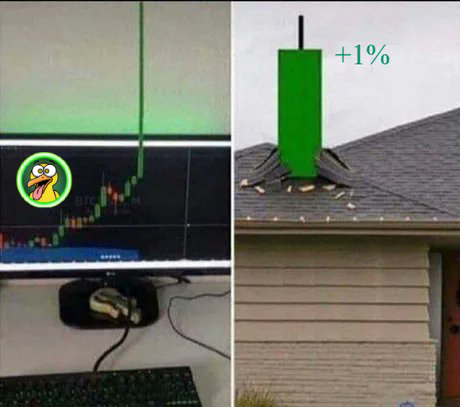 PSYCHO Ducky tweet media