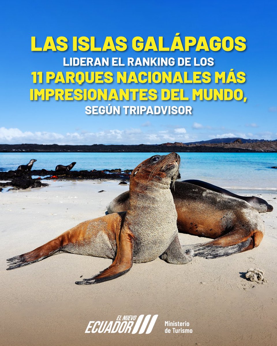 Las Islas Galápagos no solo son un símbolo de biodiversidad, son un motivo de orgullo nacional. Hoy encabezan la lista de los parques nacionales más impresionantes del planeta, según <a href="/Tripadvisor/">Tripadvisor</a> ➡️bit.ly/42s4R3v🧵