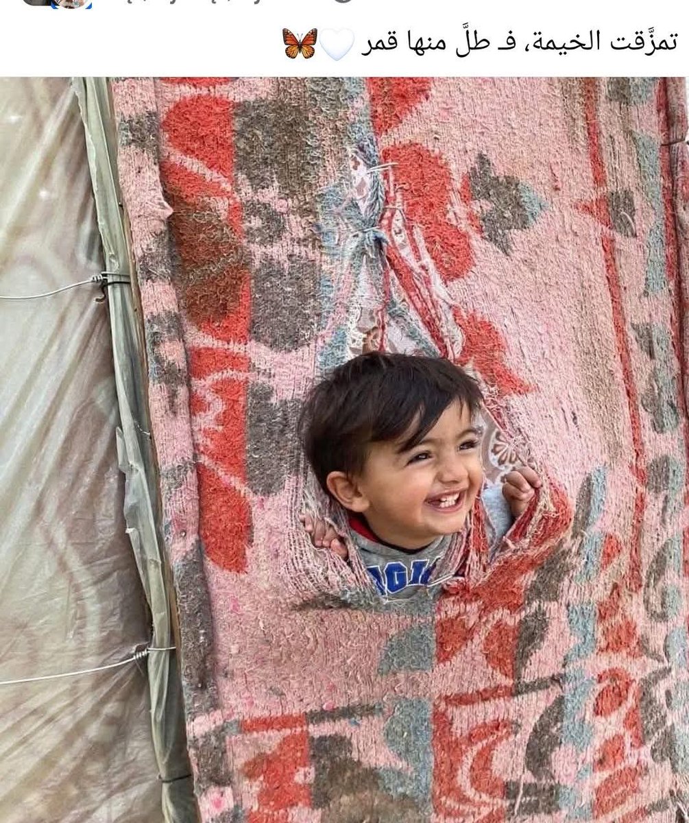 a_sab_jui's tweet image. غزہ
پھٹے ہوئے خیمہ سے چاند نکل آیا
🌕💔