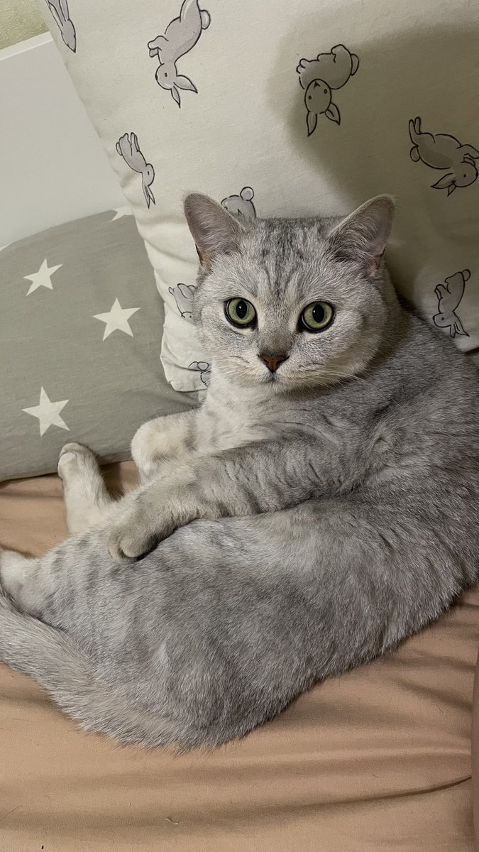 Ну и где шлялась?