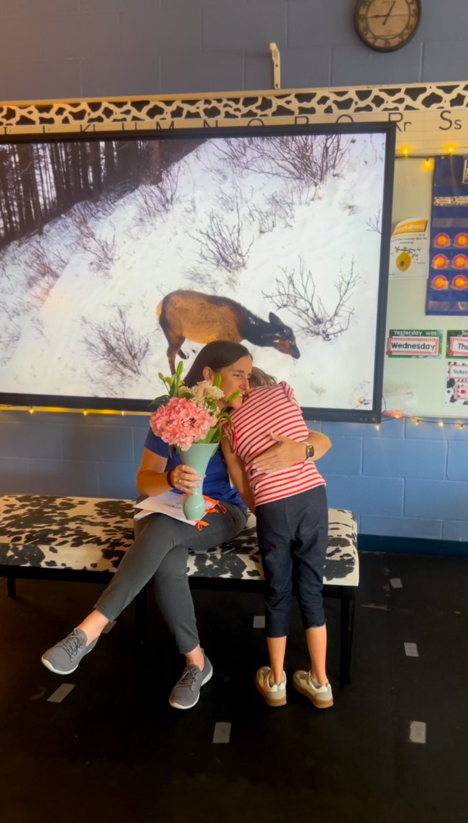 Ms. Carmody tweet media