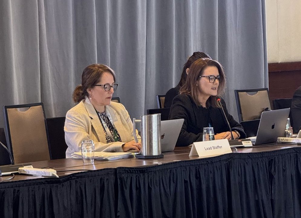 APECBiz's tweet image. ABAC New Zealand’s Anna Curzon, Chair of the Regional Economic Integration Working Group (REIWG), presides over their meeting to tackle critical issues including navigating the rise of protectionism, strengthening supply chains, enabling seamless digital trade and inclusive…