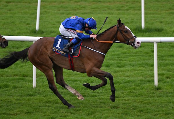 Gordon Elliott (@gelliott_racing) on Twitter photo Big congratulations to Sapphire Racing who had their first winner on the track with Combs <a href="/tipperaryraces/">Tipperary Racecourse</a>. Winning on his first start as a 3yo under <a href="/chrishayes24/">Chris Hayes</a>. Well done all involved
📸 Healy Racing Big congratulations to Sapphire Racing who had their first winner on the track with Combs <a href="/tipperaryraces/">Tipperary Racecourse</a>. Winning on his first start as a 3yo under <a href="/chrishayes24/">Chris Hayes</a>. Well done all involved
📸 Healy Racing