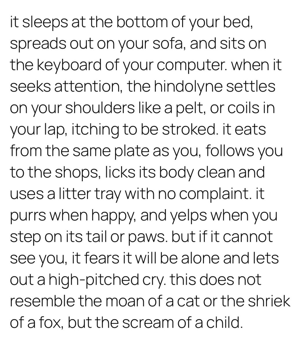 Thanks to <a href="/mironlinebbk/">The Mechanics' Institute Review</a> for publishing my short story ‘sugar tiger’ about a pet that only appears to its owner when it’s loved - and the shocking truth of where it spends the rest of its time 

mironline.org/fiction/sugar-…
