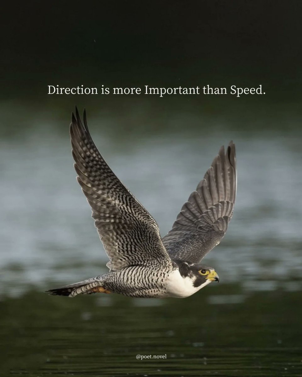 Mind Essentials (@mind_essentials) on Twitter photo 