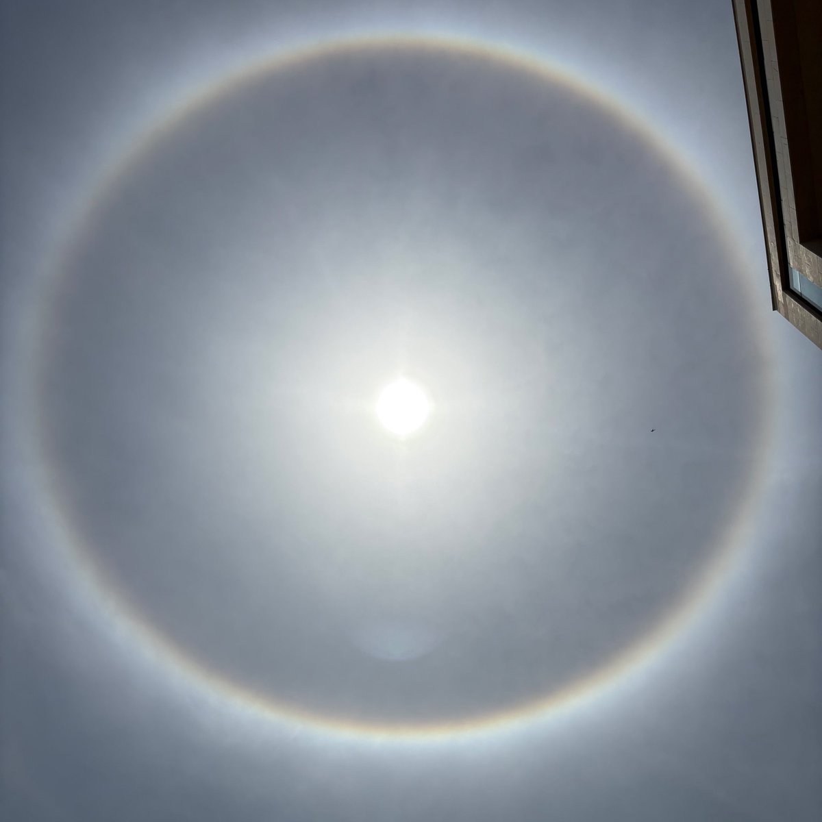 meindd's tweet photo. The way I could stare at the Solar Halo for hours https://t.co/lkztJdMyBD