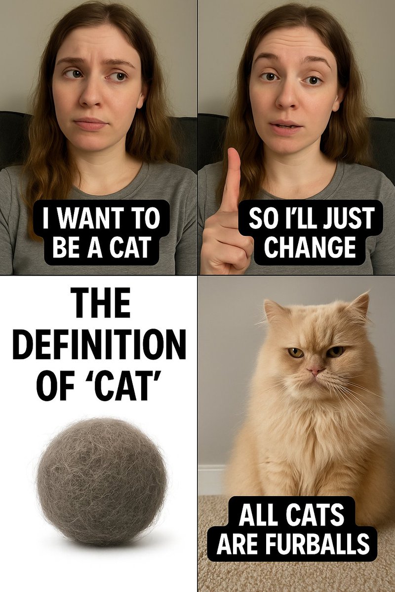 Grace Aza-Selinger tweet media