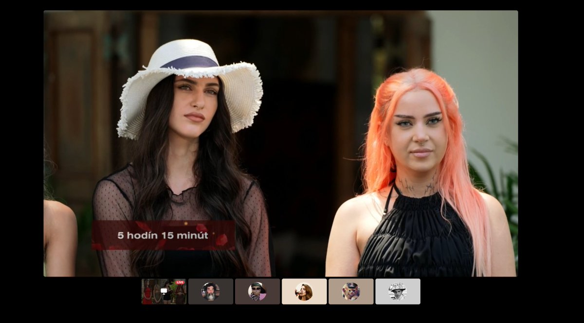 lincatwo tweet media