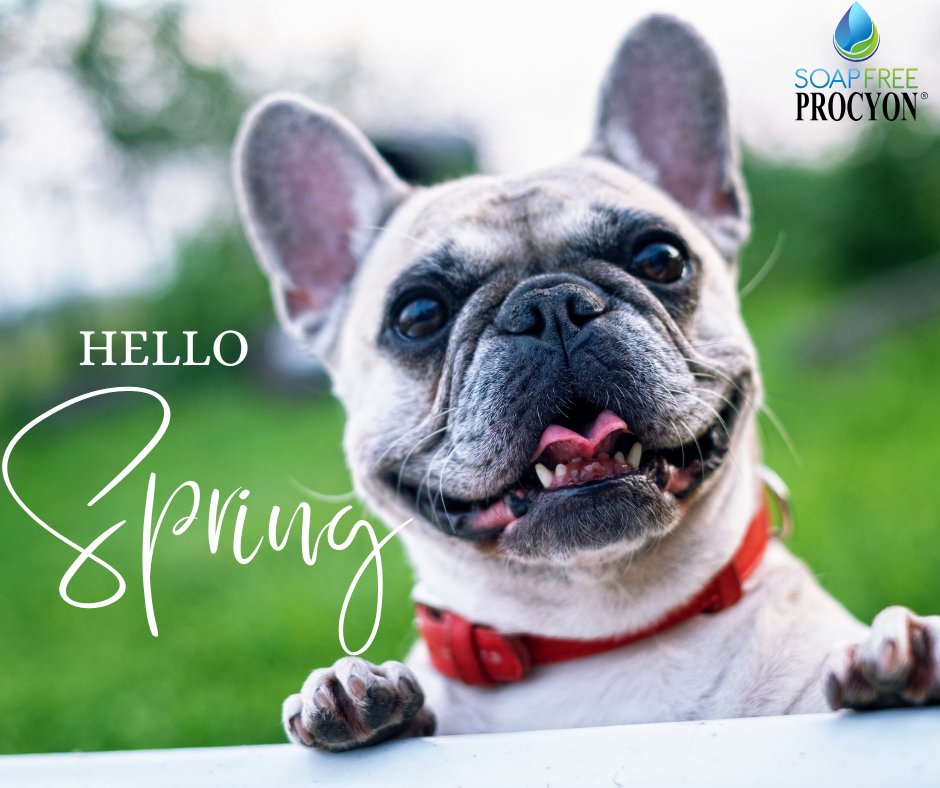 Spring cleaning made safe! ✨

Our unique, soap-free cleaners are powerful on carpets and upholstery and formulated without the harsh chemicals found in conventional cleaners. 

Learn more about our powerful yet gentle formulations: cstu.io/4a860a