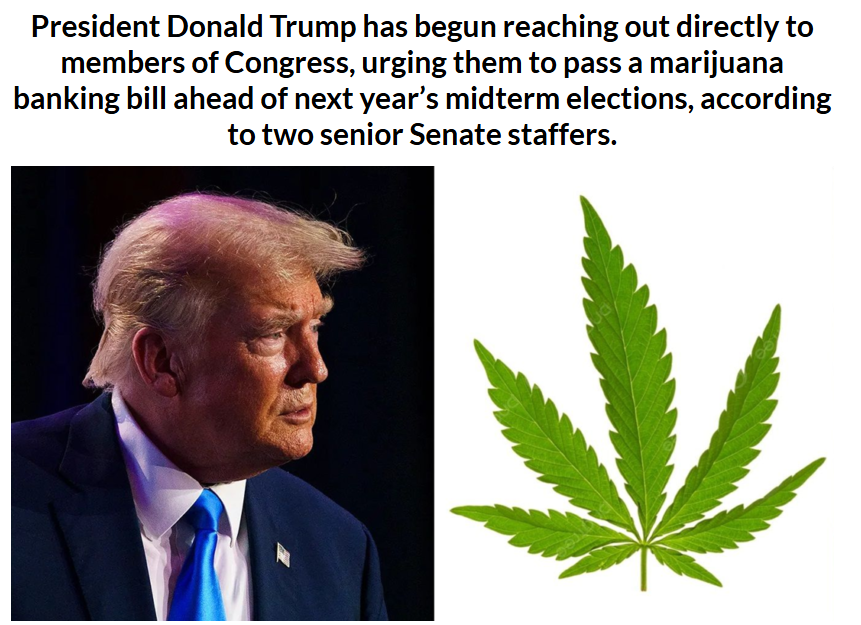 onecentinvest's tweet image. Rising tide raises all boats $HASH.V $LOVE.V $ROMJ.V 
themarijuanaherald.com/2025/04/presid…