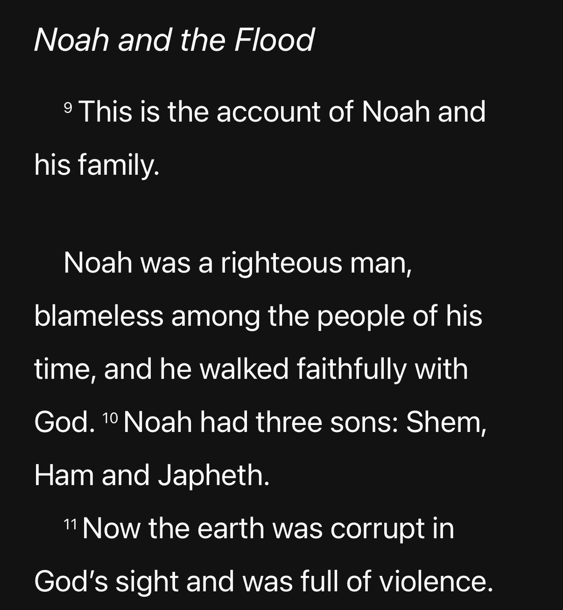 TheNodeCatcher's tweet image. 