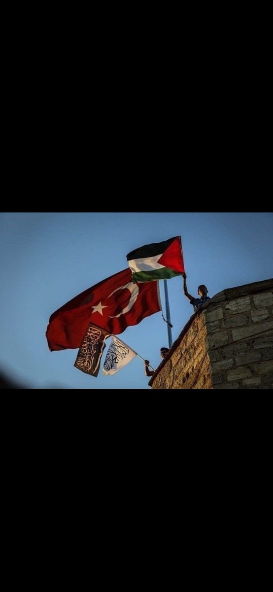 YapMustafa's tweet photo. #wakeupmuslim https://t.co/FCLBihGhHe