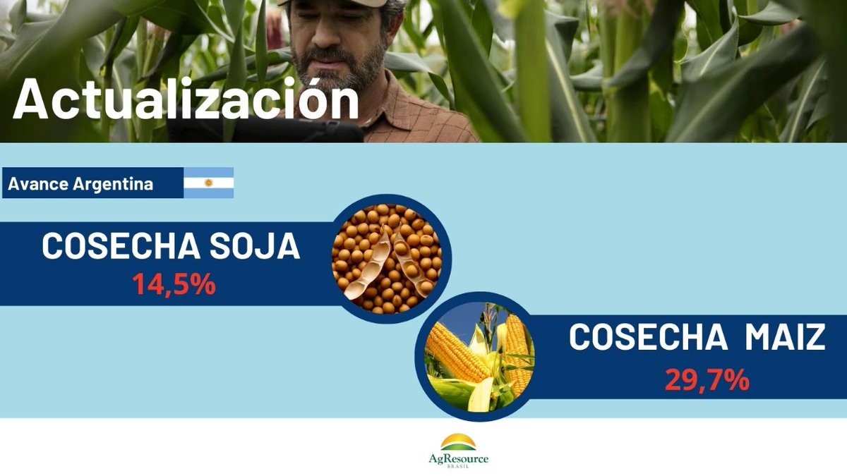 solbagur's tweet photo. Firme avance de la soja argentina pero el maiz sigue condicionado por la humedad. https://t.co/j2ZQFct1rN