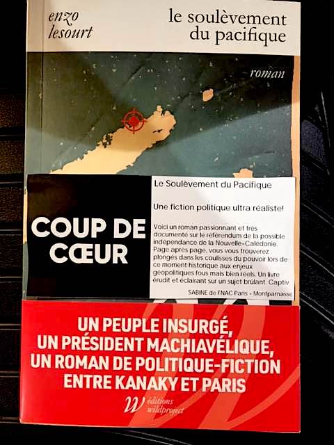 Enchanté de voir "Le Soulèvement du Pacifique", mon premier roman (éditions <a href="/wild_project/">Éditions Wildproject</a>), devenir l'un des coups de coeur de la <a href="/Fnac/">Fnac</a>. 

Merci à Sabine, libraire de la Fnac Paris-Montparnasse, pour sa belle note de lecture - et l'envoi de la photo. 

wildproject.org/livres/le-soul…