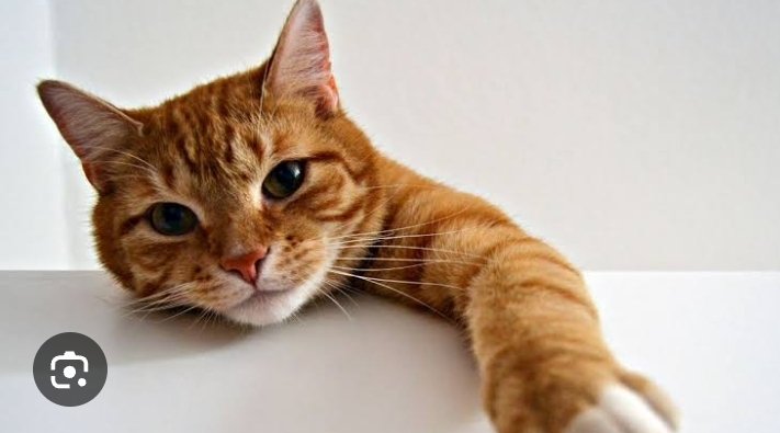 CryptoDoc 🅾️ tweet media