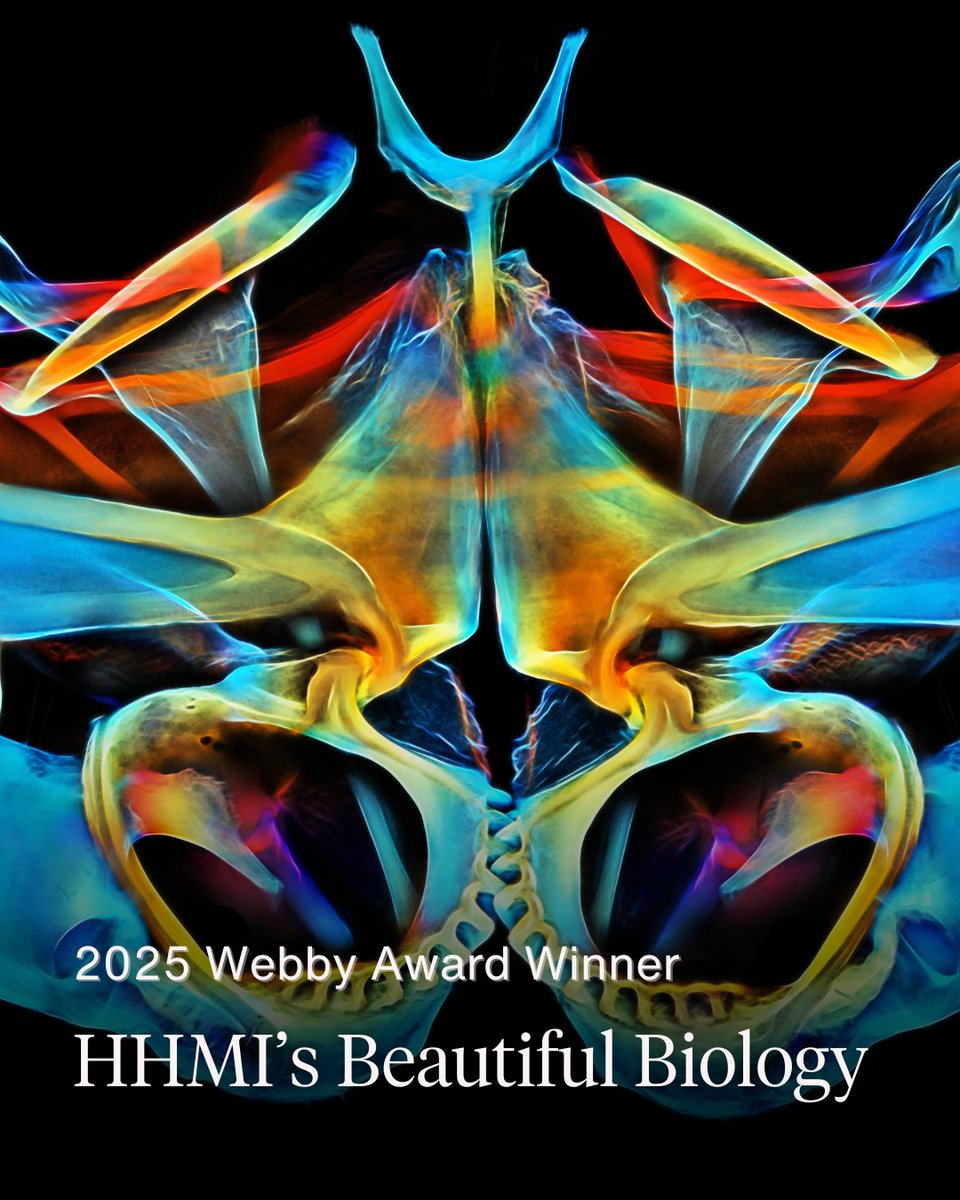 HHMI | Janelia (@hhmijanelia) on Twitter photo 🎉Congratulations to HHMI’s Beautiful Biology, winner of a 2025 <a href="/TheWebbyAwards/">The Webby Awards</a> in the Science Websites and Mobile Sites category ➡️ hhmi.news/42KRBpI
💻Explore the site ➡️ hhmi.org/beautifulbiolo…
📷Igor Siwanowicz 🎉Congratulations to HHMI’s Beautiful Biology, winner of a 2025 <a href="/TheWebbyAwards/">The Webby Awards</a> in the Science Websites and Mobile Sites category ➡️ hhmi.news/42KRBpI
💻Explore the site ➡️ hhmi.org/beautifulbiolo…
📷Igor Siwanowicz