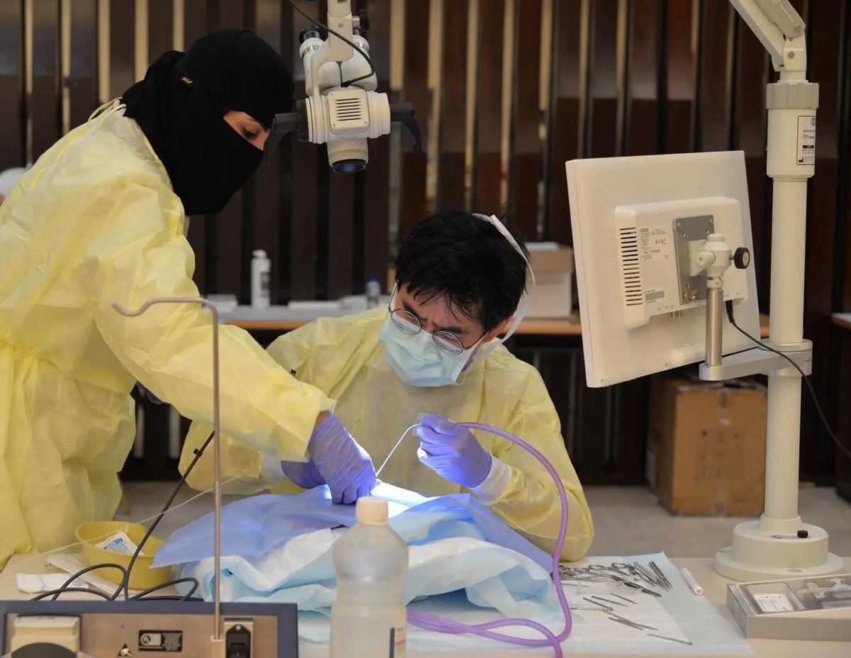 استشاريون سعوديون في "طبية جامعة الملك سعود"  يدربون أطباء من دول عدة على الزراعات السمعية

#الإخبارية