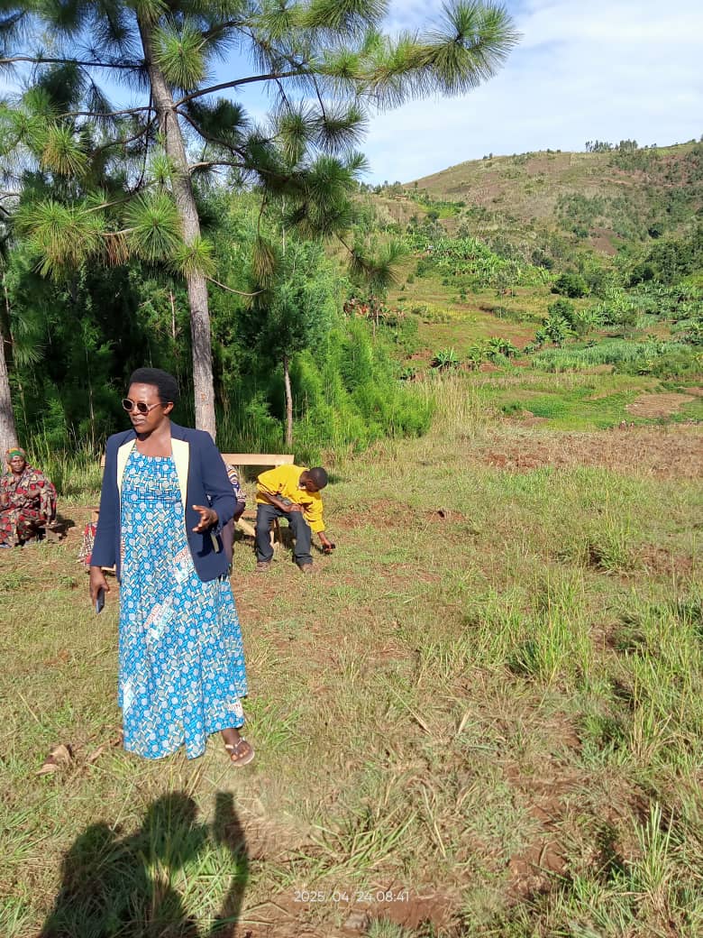 CommuneMus81941's tweet photo. #Burundi, Ku wa 24/04/2025, Musitanteri wa komine Musongati @RutanaProvince arikumwe n'uwurongoye inyamiramabi hamwe n'uwurongoye sentatare y'intango ya Musongati bazindutse gutatura amatati y'amatongo Ku mutumba wa Yove hagati y'imiryango yarishamiranye cane @MininterInfosBi https://t.co/QPBiyWBsvq