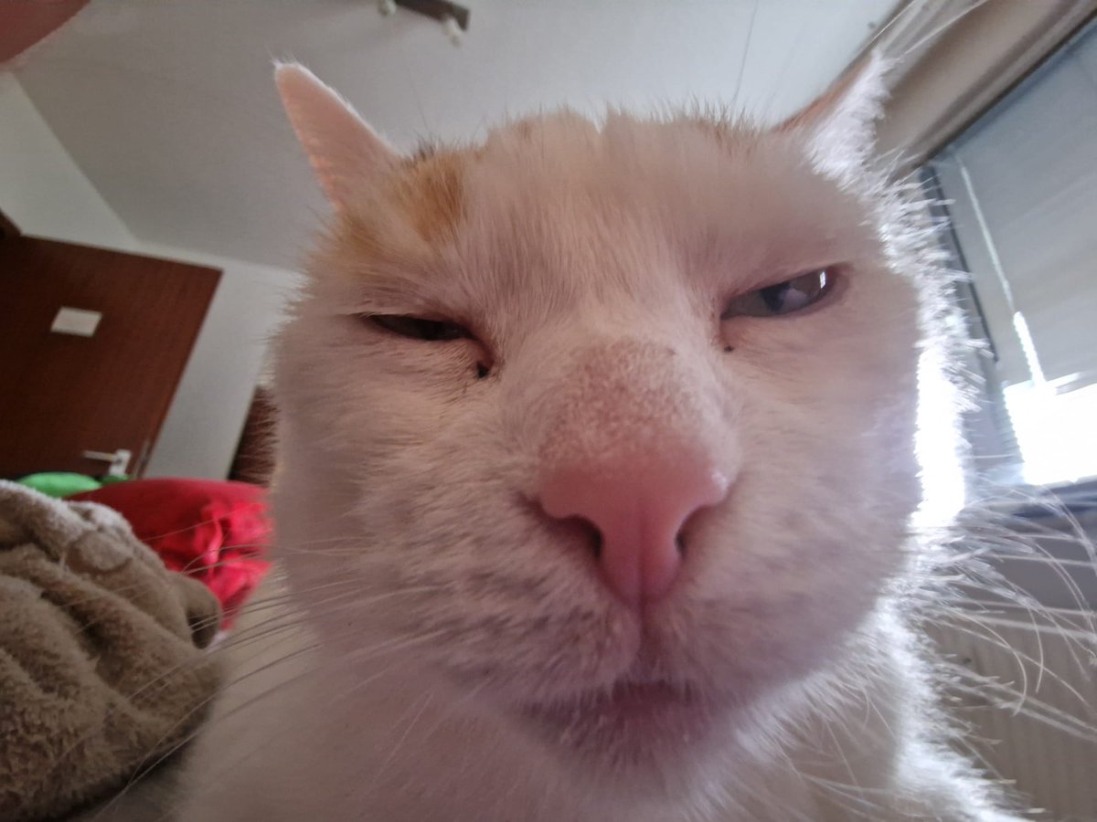 Matheo (@matheoor6) on Twitter photo 