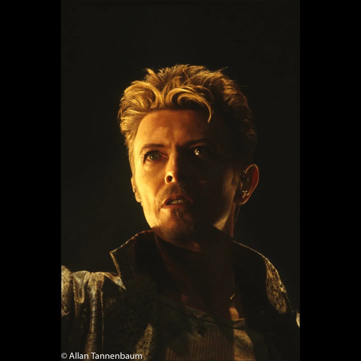 David Bowie News tweet media