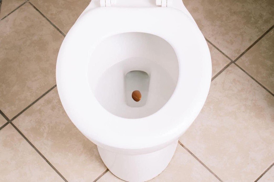 you ever be on the toilet fighting for yo life just for this to come out