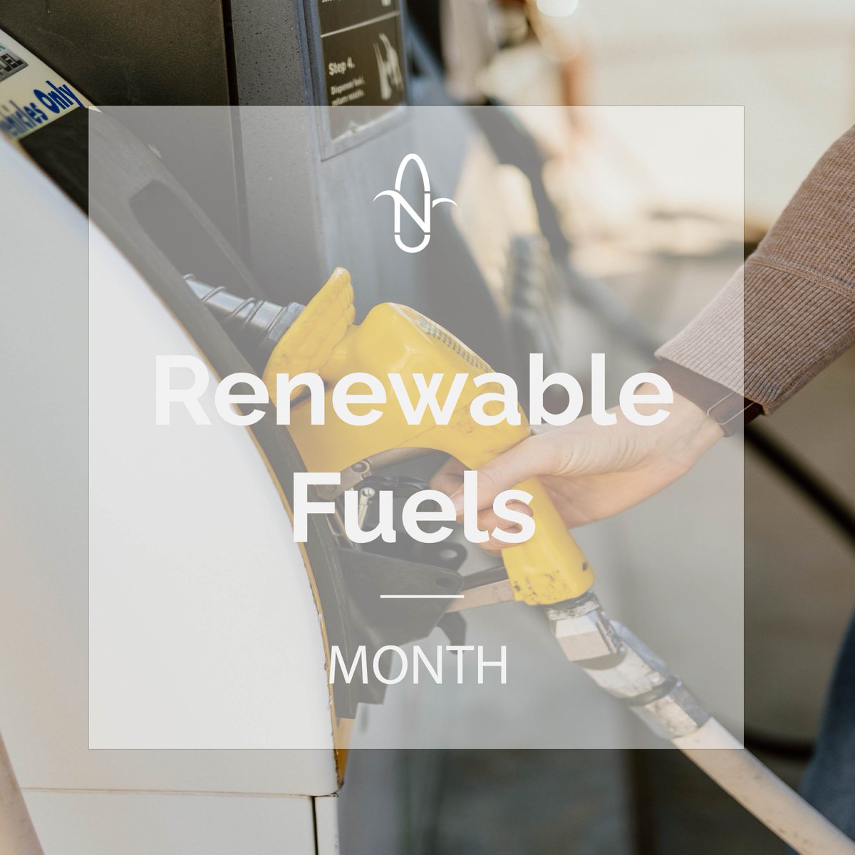 It’s Renewable Fuels Month in Nebraska!
According to recent data, Nebraska drivers saved approximately $375 million in 2024 by using ethanol blends of E10 and above.

As we head into the summer months, save money, fuel up and support local.