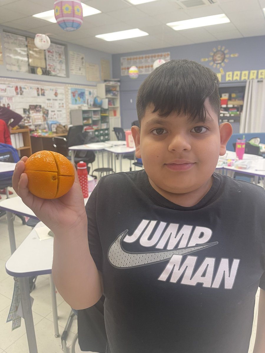 When learning about pie graphs, you MUST show your teacher how your orange is cut in fourths‼️ Nothing beats seeing so much excitement while real-world connections are being made🤩 #MineolaProud