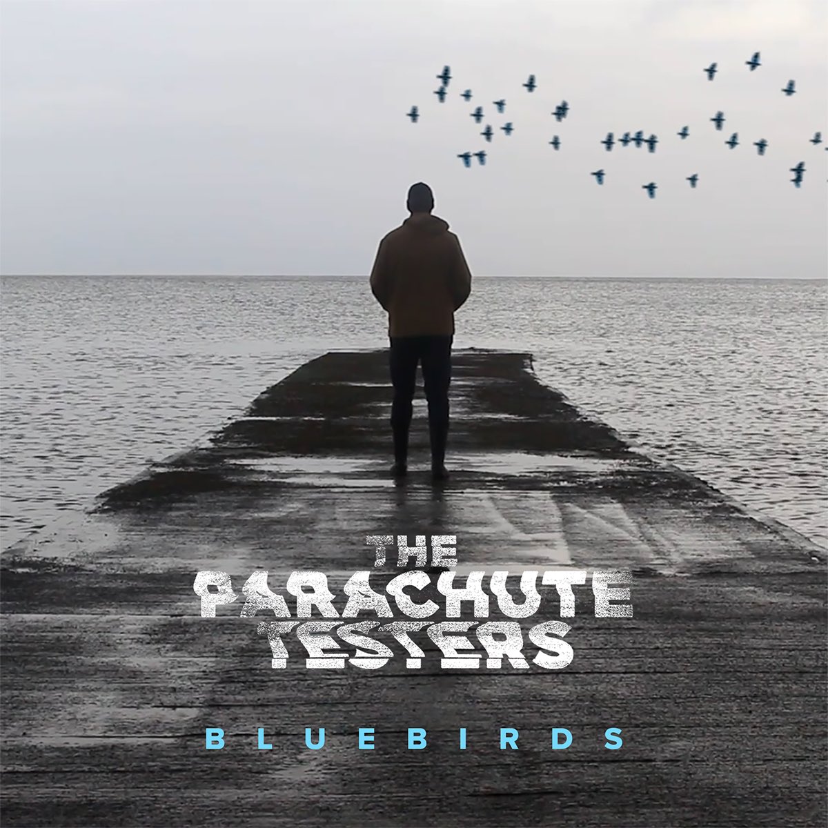 SteveLuffRadio's tweet image. Our #undiscoveredartists this week are the brilliant @ParachuteTester @blackcatradio