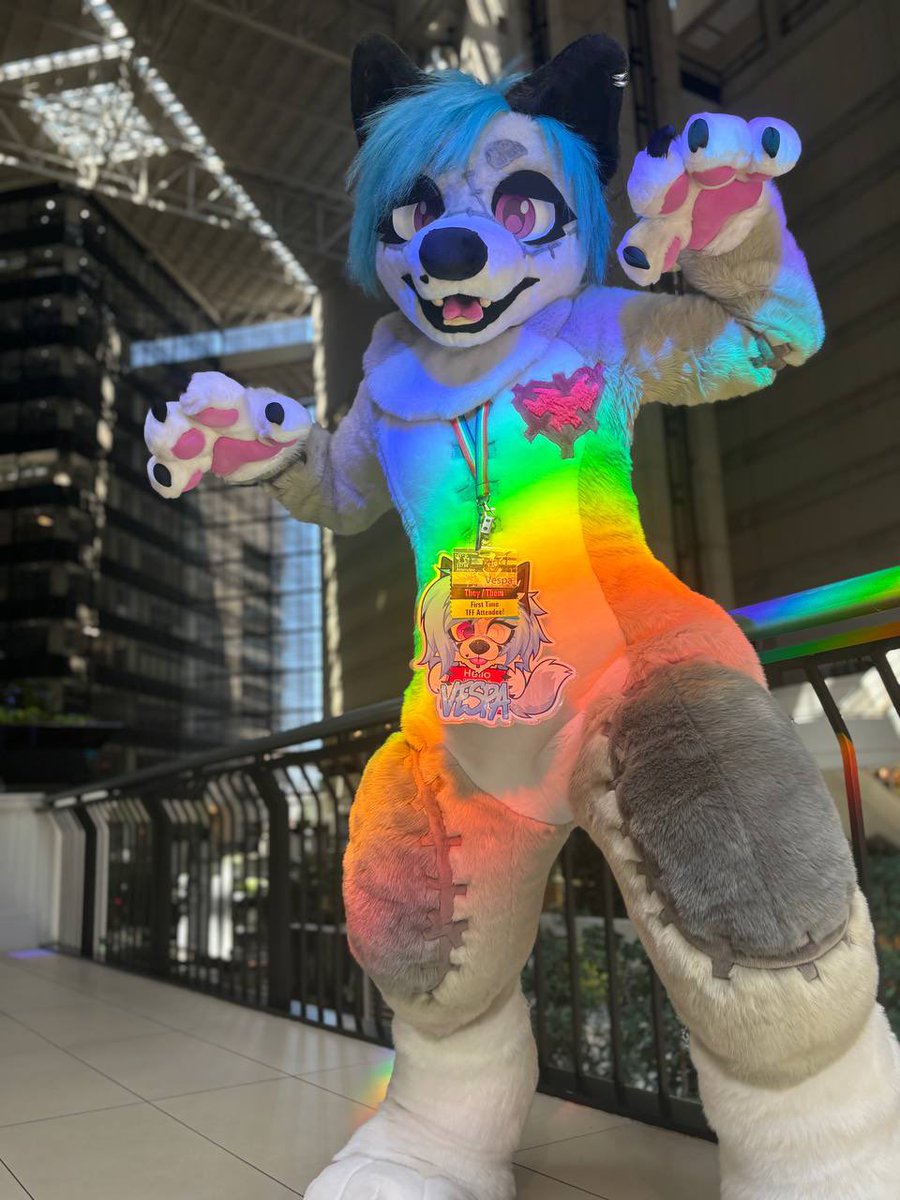 notorious TFF rainbow 🌈🐾

#TFF2025