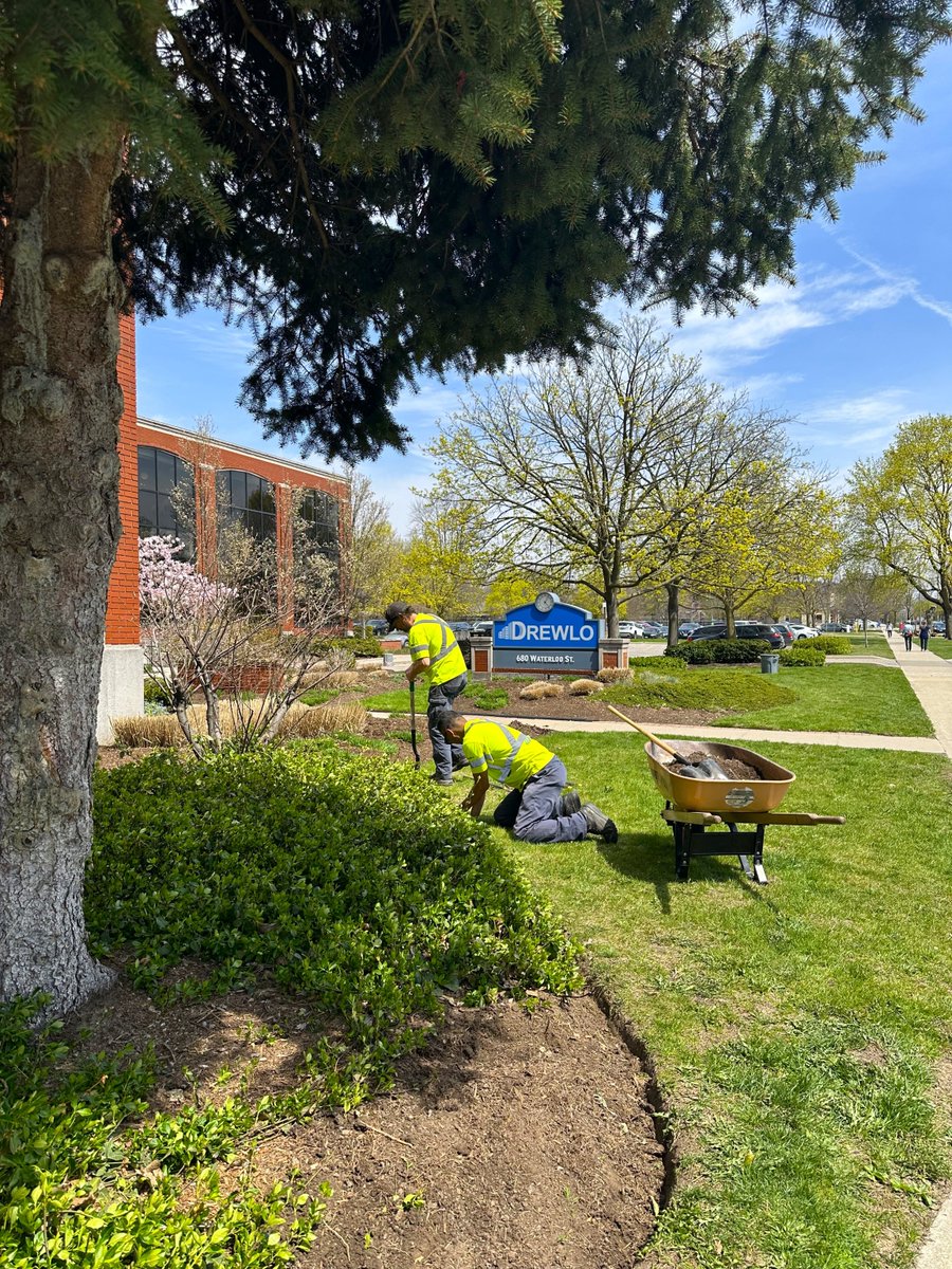 DrewloBURL's tweet photo. Featuring Our Drewlo Landscaping Team! 🌿

It’s a beautiful spring day, and our landscaping team is in full swing! 

Their hard work keeps our properties looking fresh, clean, and full of life — and we’re beyond thankful for everything they do!

#DrewloLiving #LandscapingCrew https://t.co/JQv4I92bmL