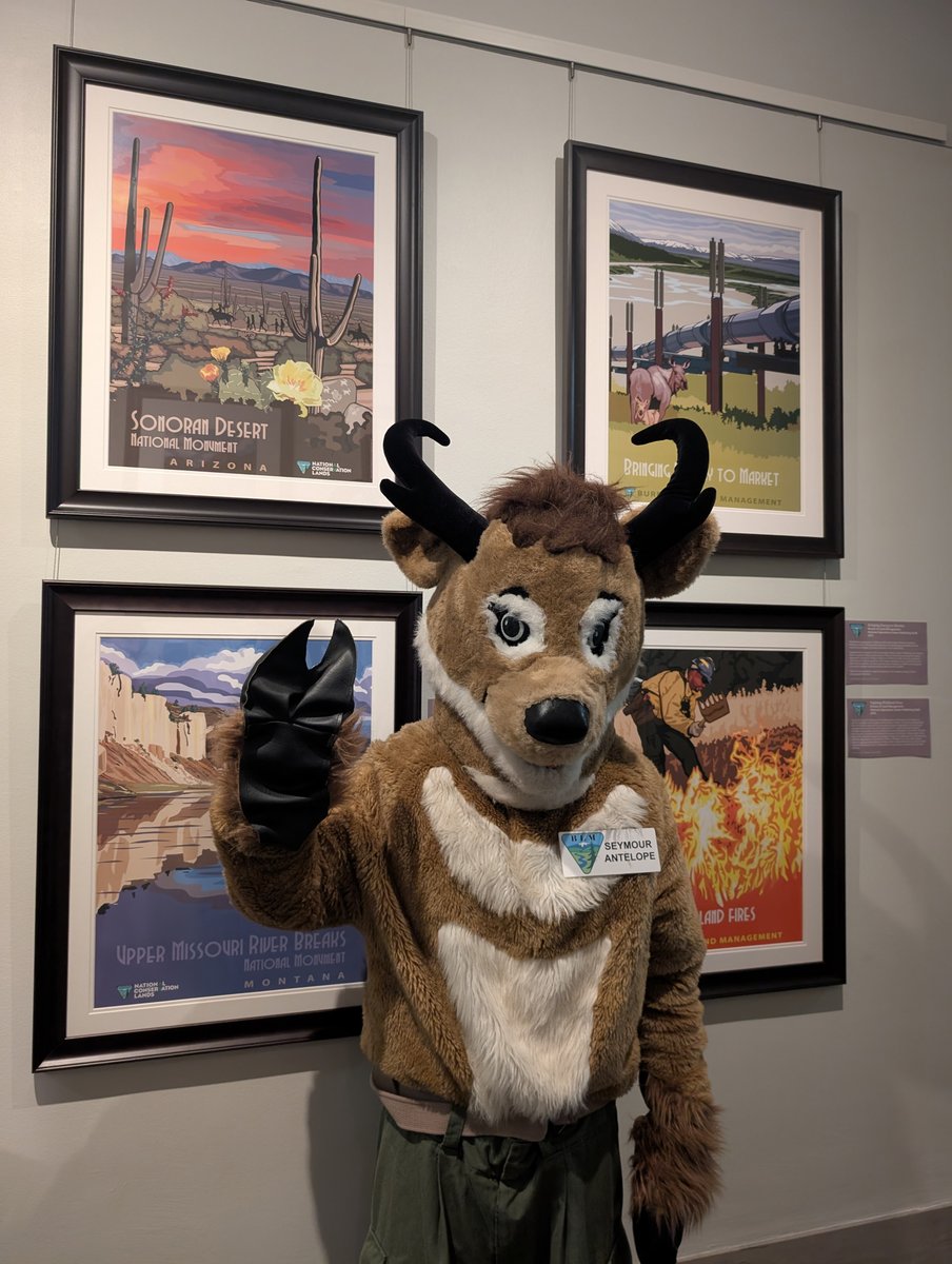 InteriorMuseum's tweet photo. As a bonus, we even spotted some special guests visiting the @InteriorMuseum for @Interior's Bring a Kid to Work Day: Seymour Antelope from @BLMNational, Puddles the Blue Goose from @USFWS, and #BuddyBison from the National Park Trust! https://t.co/WKnpz0zS0H