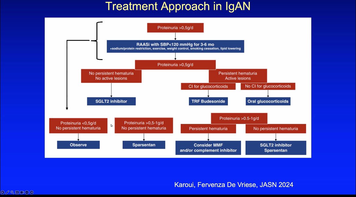 Izabela Zakrocka (@izabelazakrocka) on Twitter photo Let’s talk about risky hematuria, tough IgAN and much harder decisions 🧐 thanks <a href="/NephRodby/">Roger Rodby</a> <a href="/TWhittier_RUSH/">Bill Whittier</a> <a href="/Proximal_Baxi/">Pravir</a> <a href="/BajinderR/">bajinder reen</a> <a href="/zainabo87/">Zainab Obaidi</a> #RushRenalRulez Let’s talk about risky hematuria, tough IgAN and much harder decisions 🧐 thanks <a href="/NephRodby/">Roger Rodby</a> <a href="/TWhittier_RUSH/">Bill Whittier</a> <a href="/Proximal_Baxi/">Pravir</a> <a href="/BajinderR/">bajinder reen</a> <a href="/zainabo87/">Zainab Obaidi</a> #RushRenalRulez