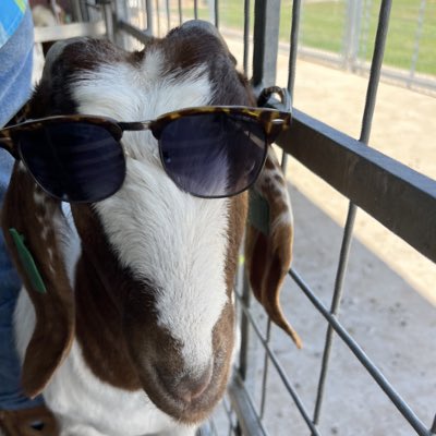 ChamySundayz's tweet photo. #NewProfilePic https://t.co/5zusbIUD7f