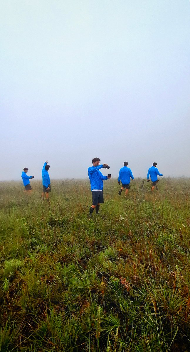 fpcamp's tweet image. #fogday [25.04.17]  ☁️☁️
#morrodopires #gooutside