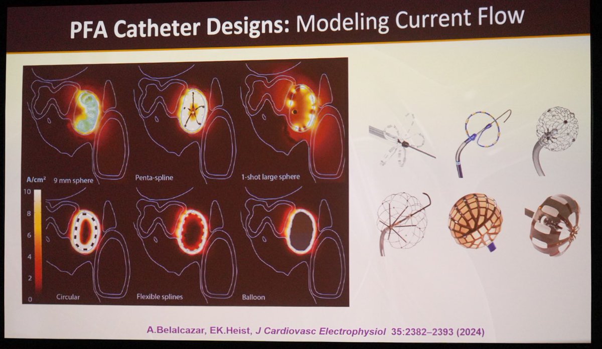 Joe Provost tweet media
