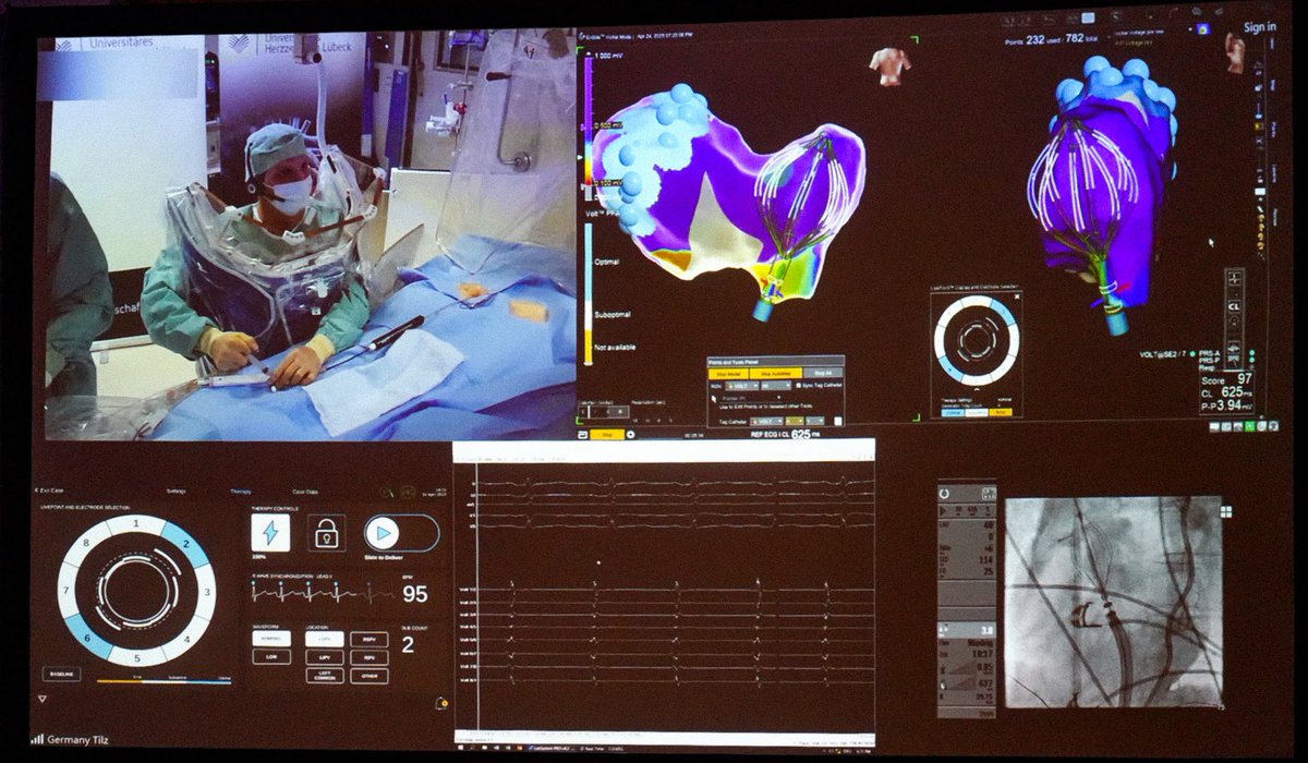 Joe Provost tweet media