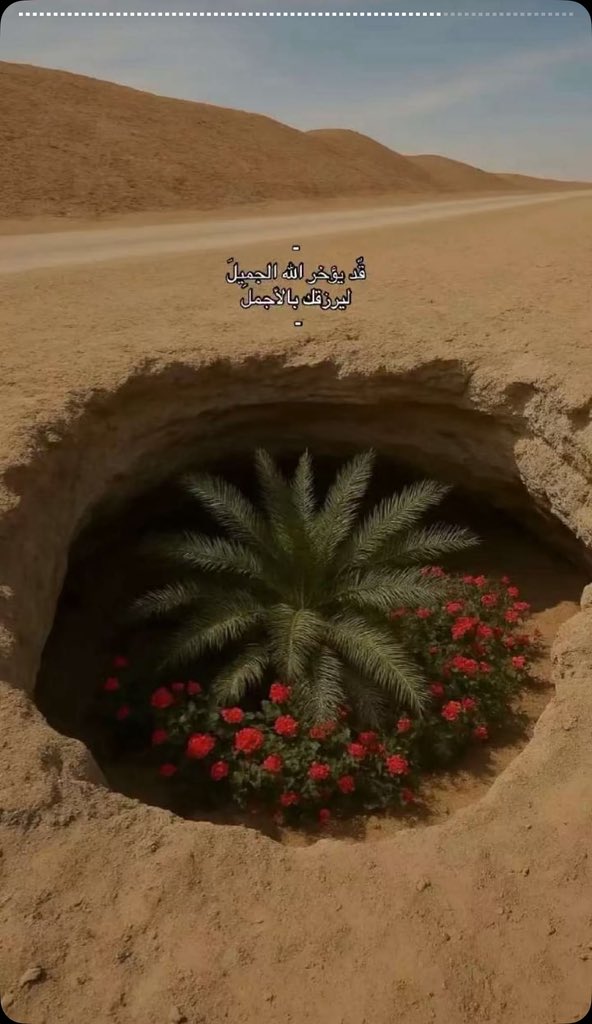 𓅓فيصل tweet media