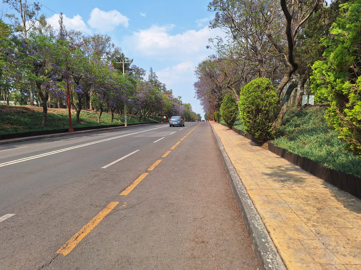 elmexax's tweet photo. Excelente Tarde...🇲🇽🇲🇽🇲🇽
#CiudadDeMéxico 
#militar
#milicia
#ejercito https://t.co/0zjRrZrYHz