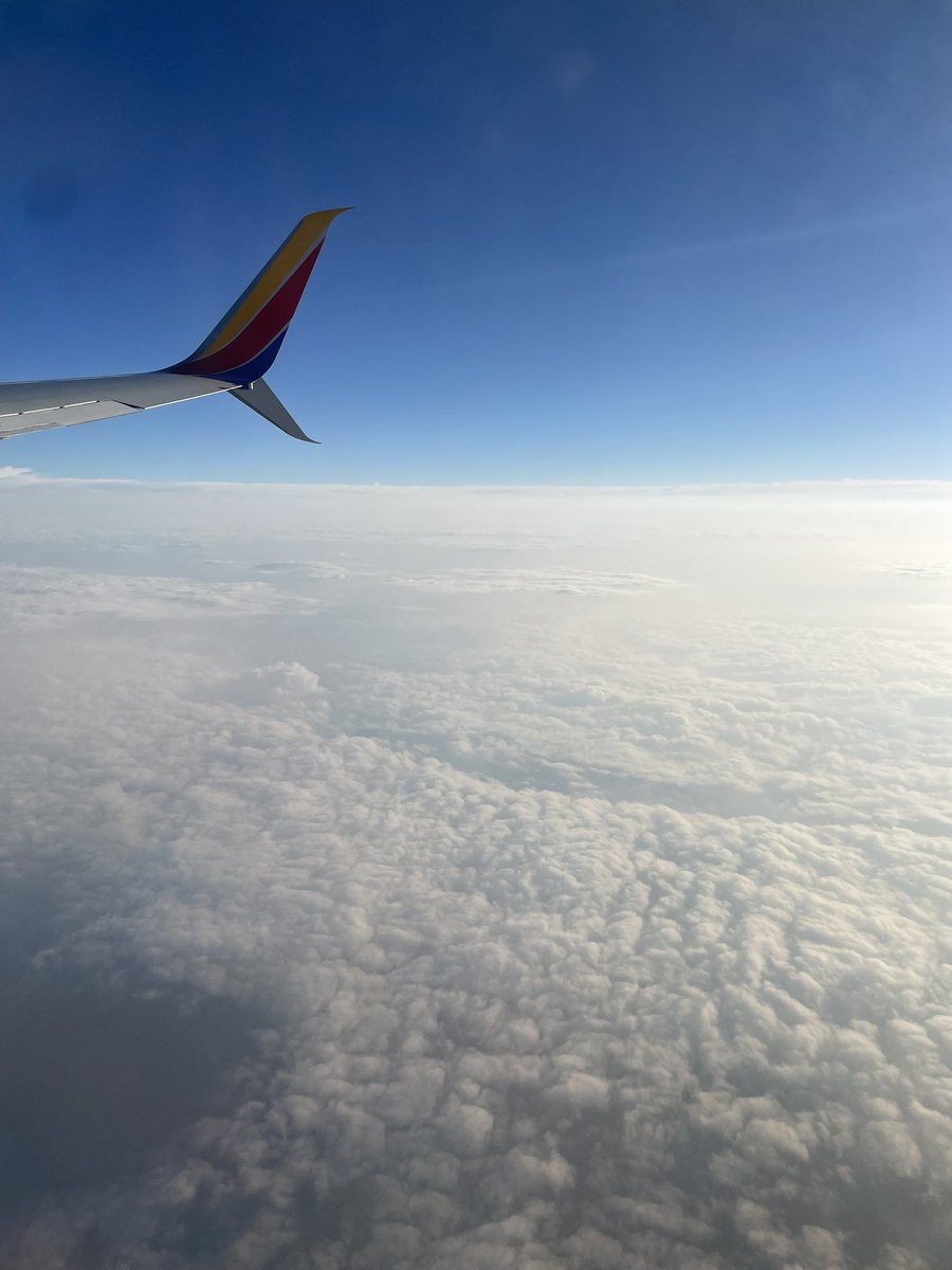 Addison Myers (@addison_myers26) on Twitter photo Next stop Cali. Can’t wait for the first live period of the season. <a href="/hoopshop_GBR/">Hoop Shop Girls Basketball</a> <a href="/stpladytigerbb/">stpladytigerbasketball booster club</a> Next stop Cali. Can’t wait for the first live period of the season. <a href="/hoopshop_GBR/">Hoop Shop Girls Basketball</a> <a href="/stpladytigerbb/">stpladytigerbasketball booster club</a>