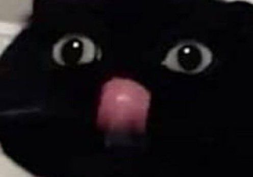 PirateCatComic's tweet image. 👁️      👁️
       👅