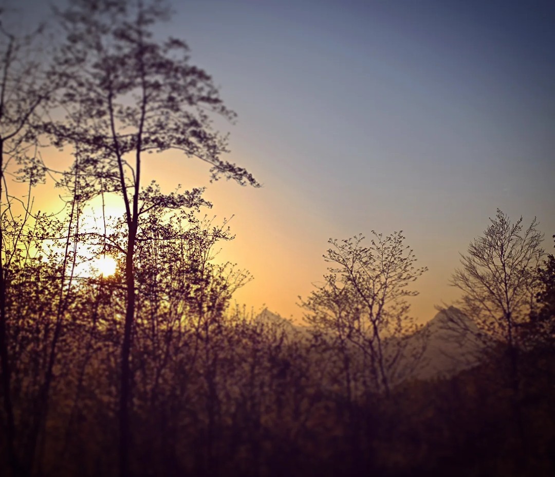 Mai (@ira_maial) on Twitter photo 