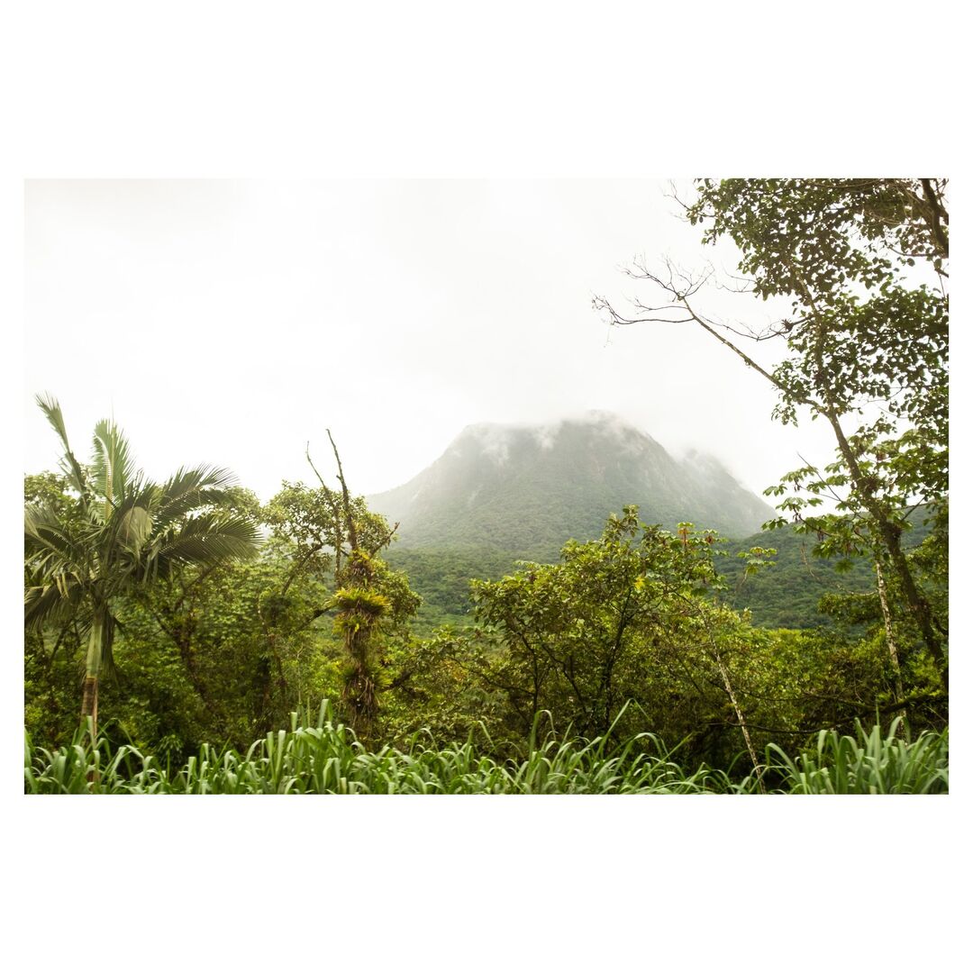 09.01.25

#fujifilm #fuji #saopaulo #brasil #santacatarina #roadtrip #countryside #brazil #trees #mountain #landscape #fujix100t instagr.am/p/DI11KYnJMF3/
