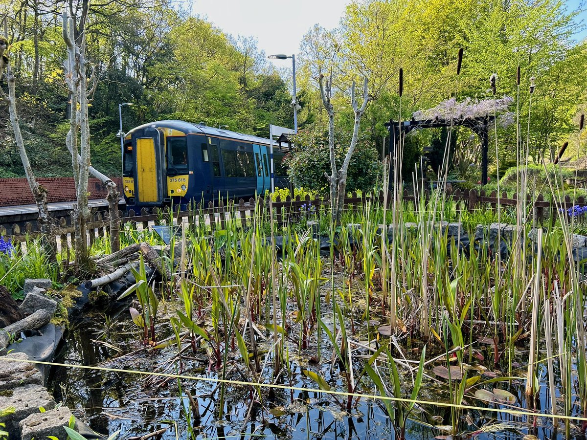 lukehouse313's tweet image. Elmstead Woods Is A Lovely Station With The Garden 😍 @Se_Railway @SteveWhiteRail